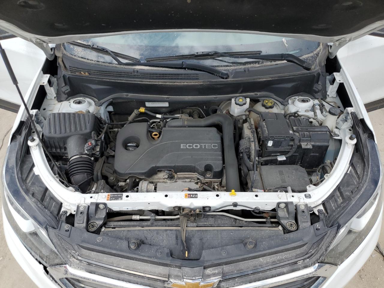 2019 Chevrolet Equinox Ls VIN: 2GNAXHEV0K6199698 Lot: 56546055