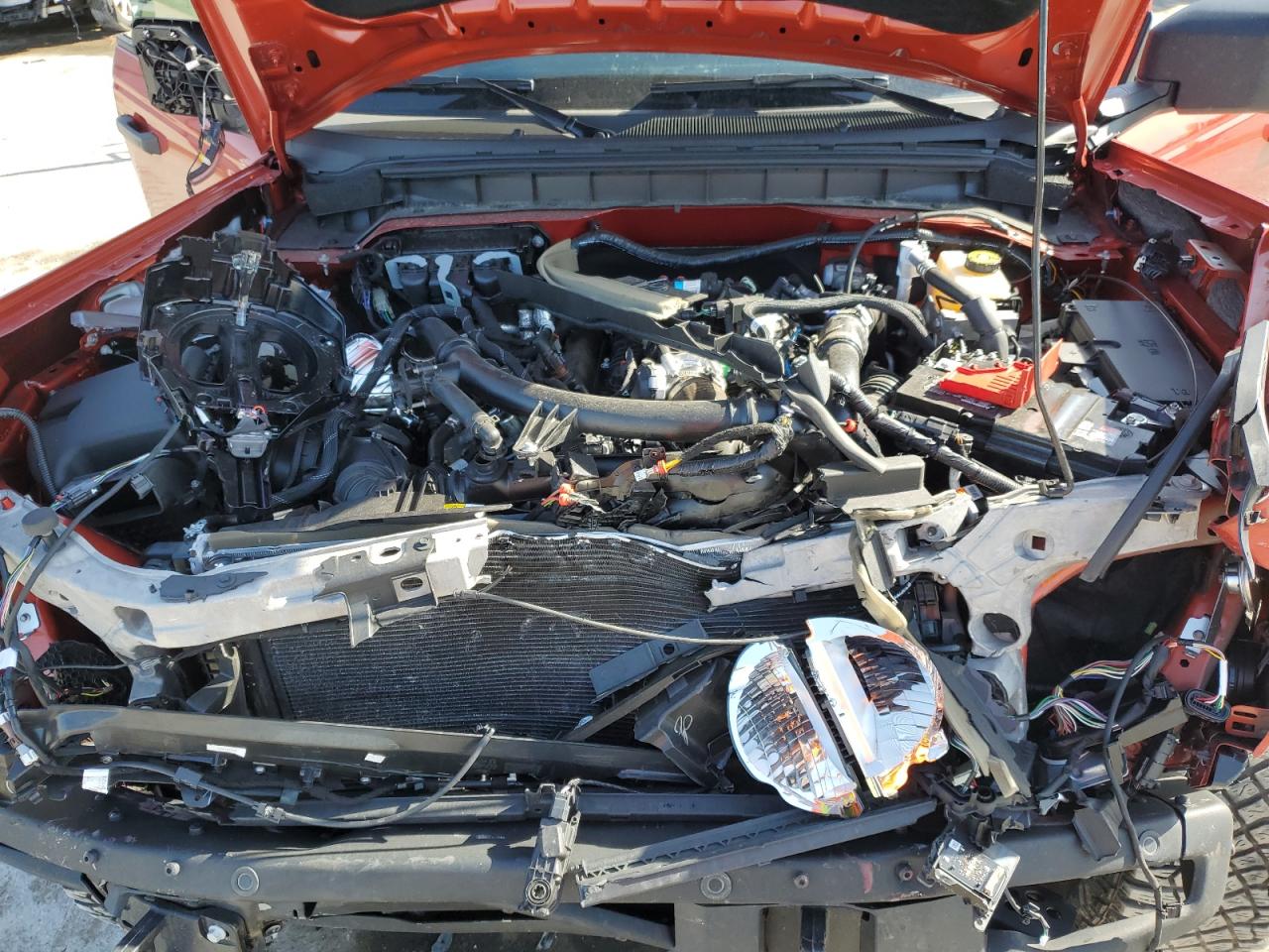 VIN: 1FMEE2BP4RLB23952 2024 FORD BRONCO WIL