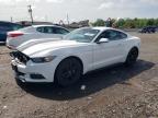 2017 Ford Mustang  for Sale in Hillsborough, NJ - Front End