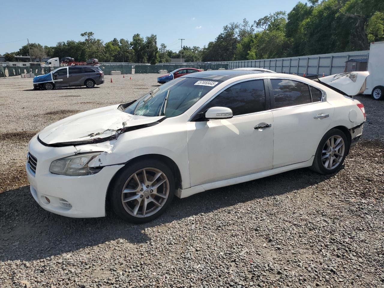 2009 Nissan Maxima S VIN: 1N4AA51E19C805368 Lot: 57650445