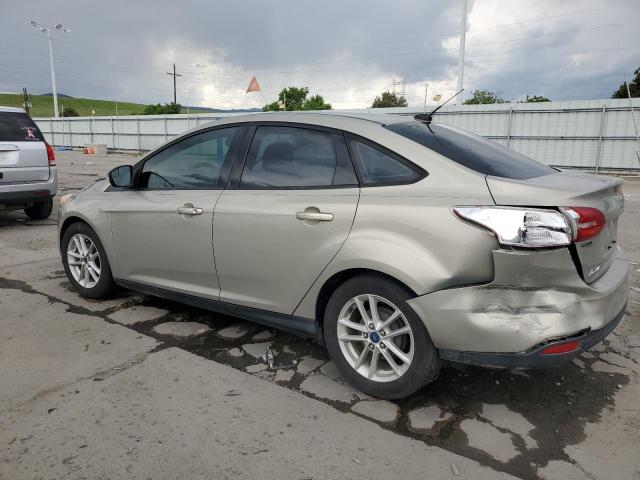  FORD FOCUS 2015 Колір засмаги