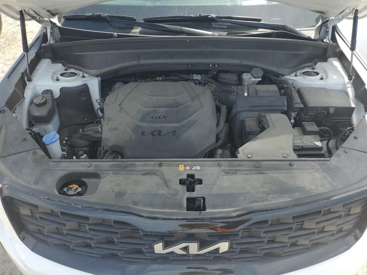 2022 Kia Telluride Sx VIN: 5XYP5DHC7NG242551 Lot: 56641575
