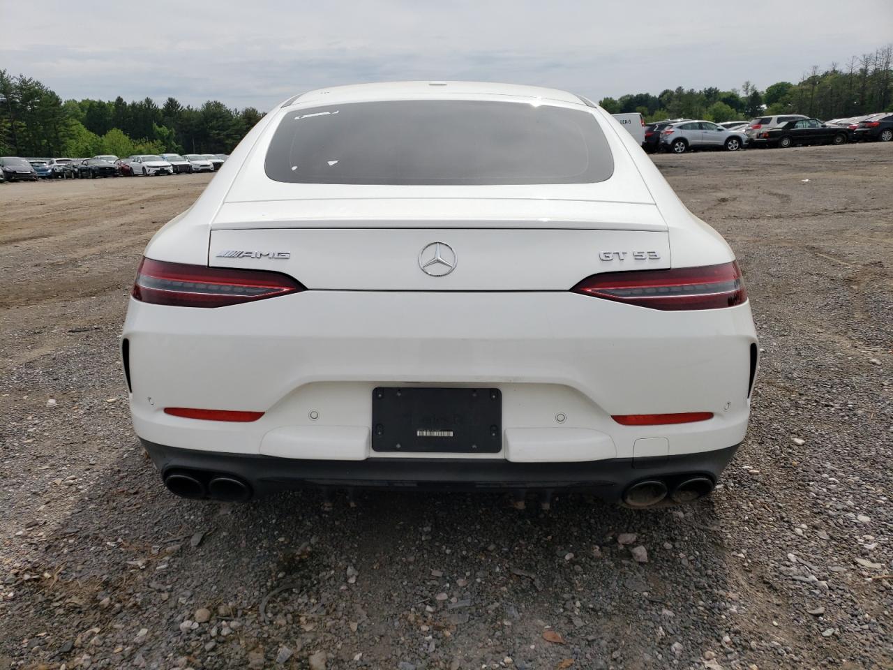 2020 Mercedes-Benz Amg Gt 53 VIN: WDD7X6BB7LA015501 Lot: 56738635