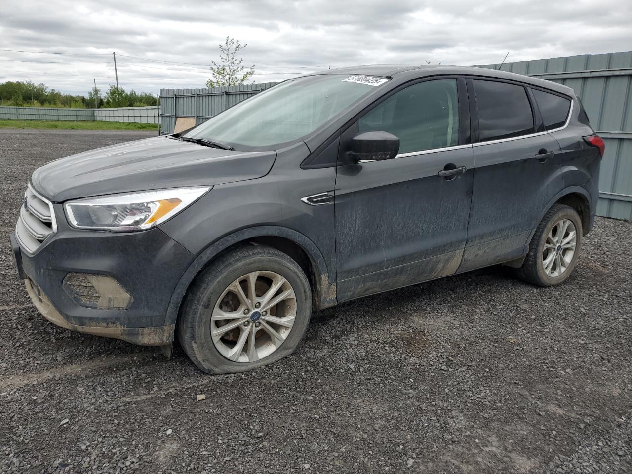 2019 Ford Escape Se იყიდება Ottawa-ში, ON - Hail