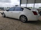 2004 Nissan Maxima Se de vânzare în Rogersville, MO - Front End