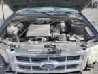 2011 Ford Escape Xlt for Sale in Las Vegas, NV - Front End