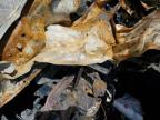 2010 Hyundai Veracruz Gls na sprzedaż w Montgomery, AL - Burn