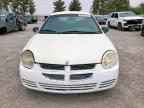 2004 Dodge Neon Base for Sale in Anthony, TX - Minor Dent/Scratches
