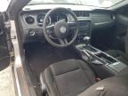 2010 Ford Mustang Gt 4.6L იყიდება Oklahoma City-ში, OK - Front End