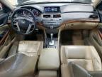 2011 Honda Accord Exl იყიდება East Granby-ში, CT - Minor Dent/Scratches