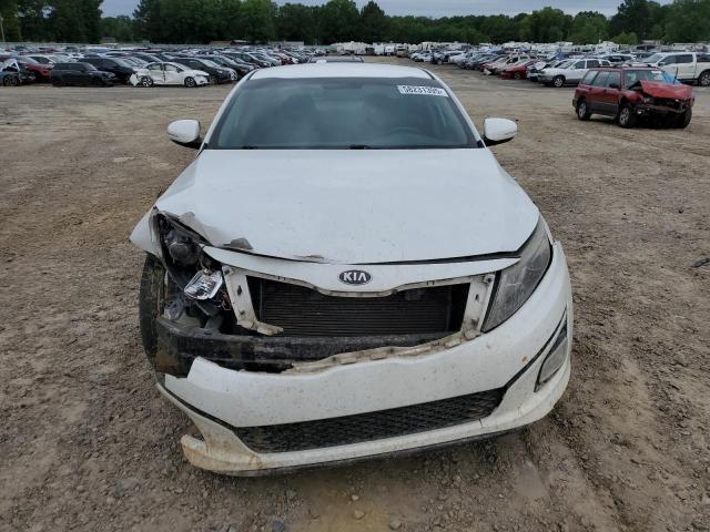 Седаны KIA OPTIMA 2015 Белы