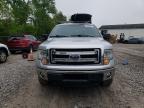 2014 Ford F150 Supercrew zu verkaufen in Northfield, OH - Normal Wear