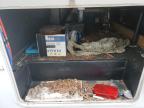 2007 Wildcat Trailer zu verkaufen in Bowmanville, ON - Water/Flood