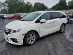 2019 Honda Odyssey Exl   للبيع في Gastonia، NC - Rear End