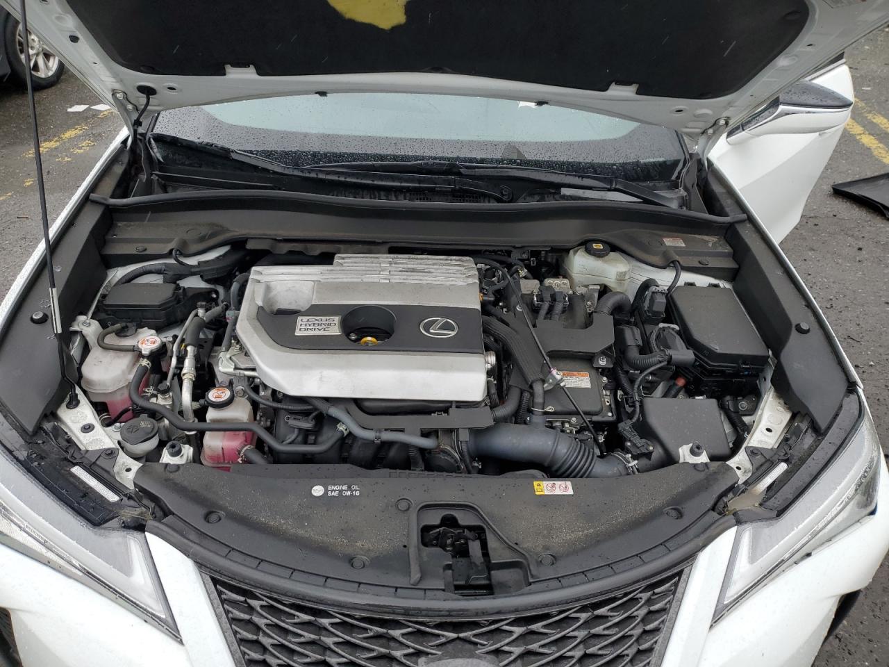 2021 Lexus Ux 250H VIN: JTHR9JBH0M2046703 Lot: 56818255