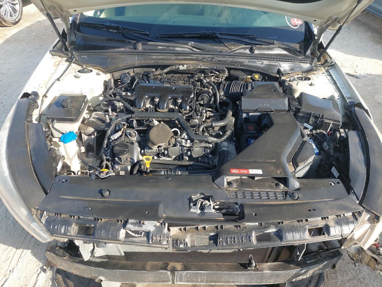 KNALC4116K5152547 - 2019 Kia CADENZA - #54636635