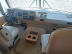 2002 Workhorse Custom Chassis Motorhome Chassis W22 for Sale in Arcadia, FL - Side