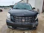 2014 Cadillac Escalade Premium за продажба в Conway, AR - Front End