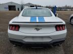 2024 FORD MUSTANG  for sale at Copart ON - COOKSTOWN