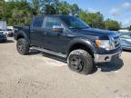 2010 Ford F150 Supercrew for Sale in Midway, FL - Side