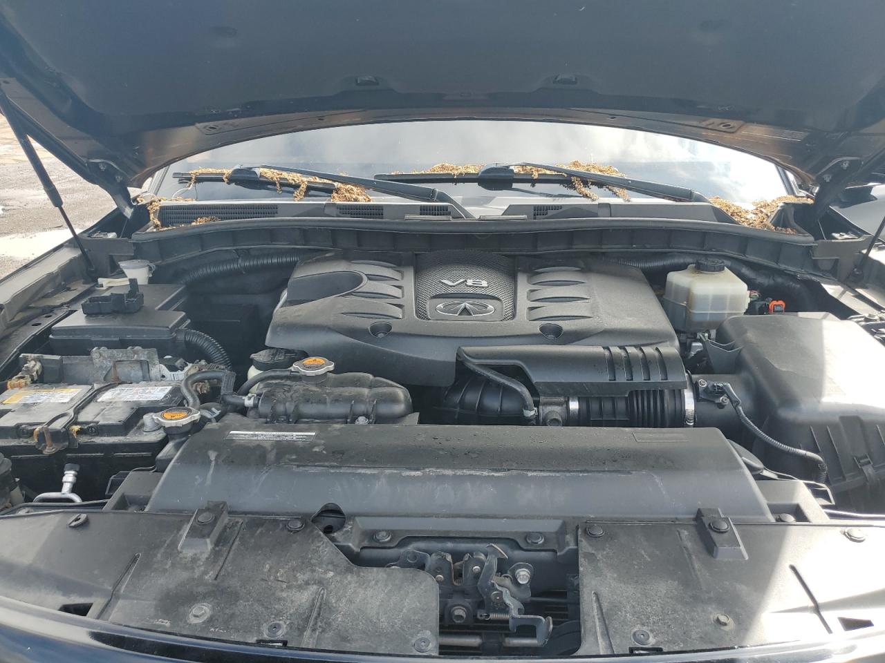 2013 Infiniti Qx56 VIN: JN8AZ2NE0D9042636 Lot: 55246405