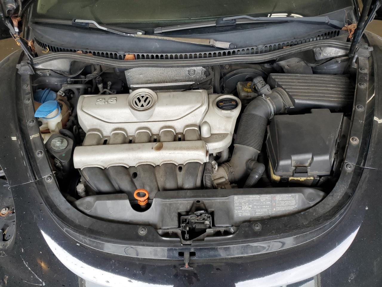 2010 Volkswagen New Beetle VIN: 3VWPW3AG4AM036344 Lot: 56671255