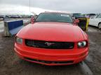 2009 Ford Mustang  for Sale in Brighton, CO - Minor Dent/Scratches