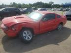 2009 Ford Mustang Gt for Sale in Florence, MS - Front End