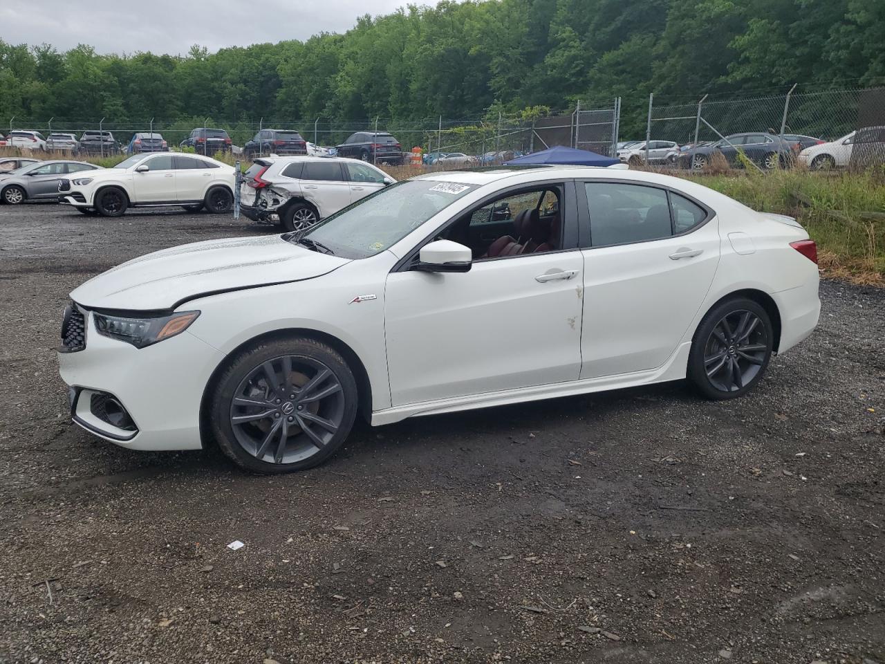 2019 Acura Tlx Technology