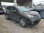 2014 Honda Cr-V Exl للبيع في Fort Wayne، IN - Front End