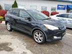2015 Ford Escape Titanium for Sale in Louisville, KY - Hail
