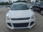 2014 Ford Escape Se for Sale in Wayland, MI - Front End