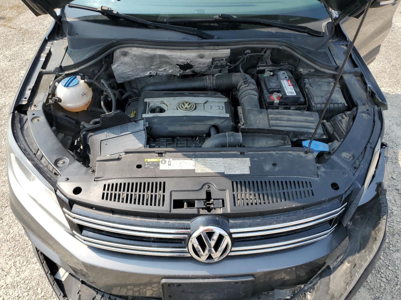 2014 Volkswagen Tiguan S VIN: WVGBV3AX9EW600328 Lot: 59165695