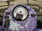 2006 POLARIS SPORTSMAN 800 for sale at Copart MN - ST. CLOUD