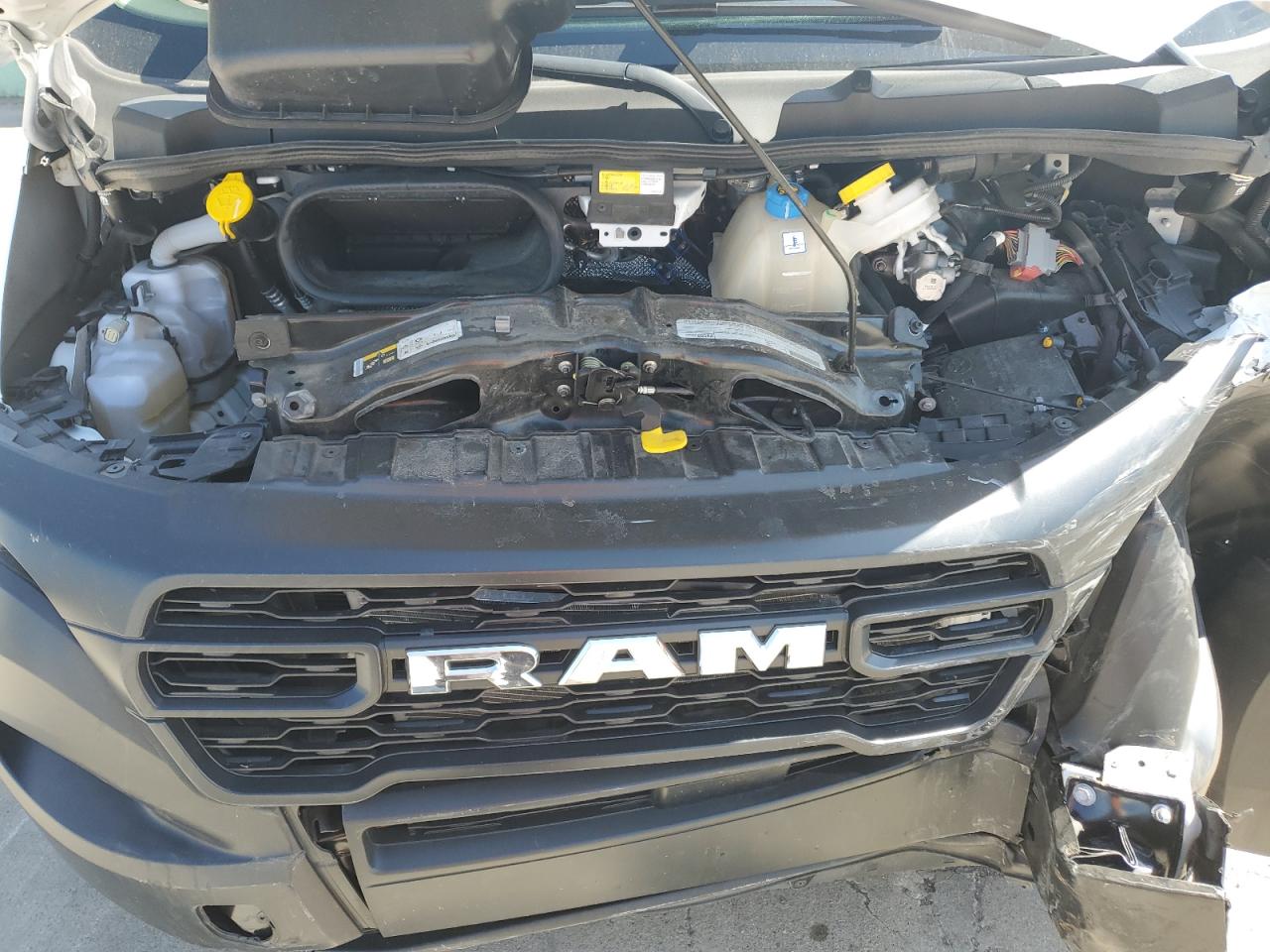 2023 Ram Promaster 2500 2500 High VIN: 3C6LRVPG4PE555819 Lot: 56914115