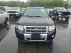 2012 Ford Escape Limited იყიდება Exeter-ში, RI - Front End