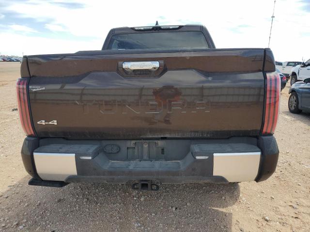  TOYOTA TUNDRA 2024 Коричневый