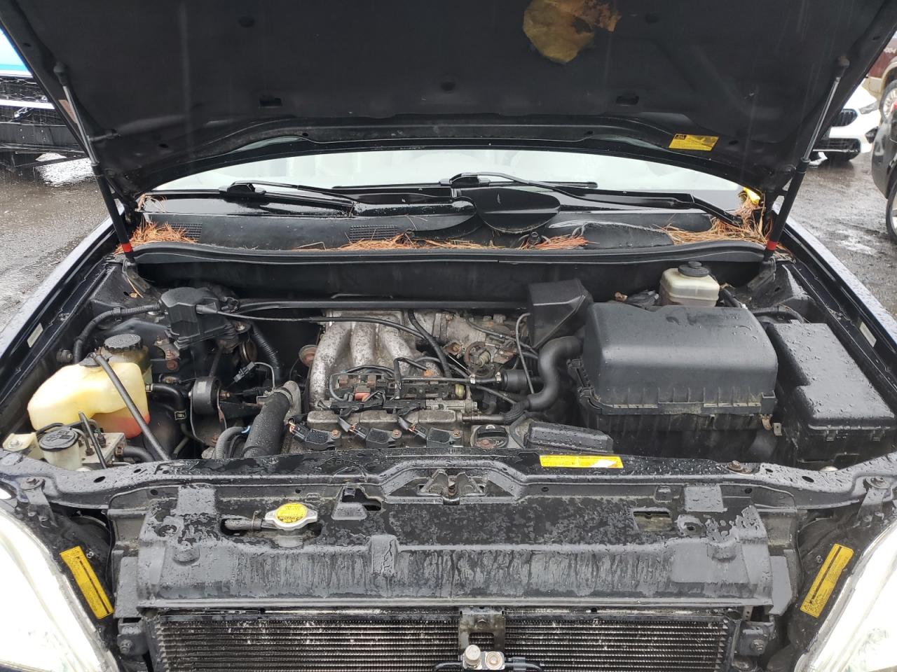 2002 Lexus Rx 300 VIN: JTJHF10U420282847 Lot: 55842995