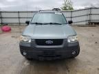 2005 Ford Escape Xlt for Sale in Walton, KY - Front End