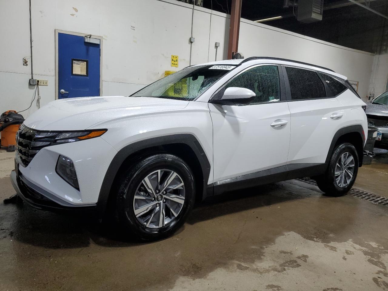 Blaine, MN에서 판매 중인 2024 Hyundai Tucson Blue - Front End