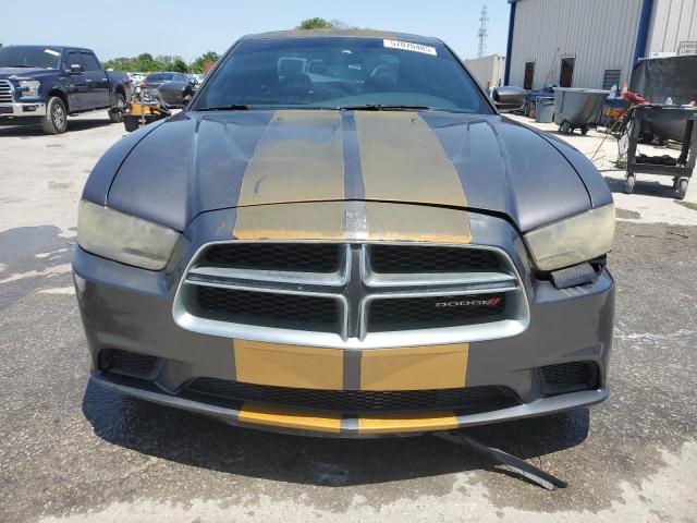  DODGE CHARGER 2013 Two tone