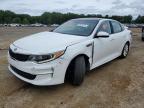 2016 Kia Optima Ex   for Sale in Conway, AR - Rear End