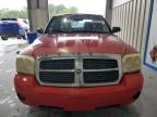 Dunn, NC에서 판매 중인 2005 Dodge Dakota Quad Slt   - Hail