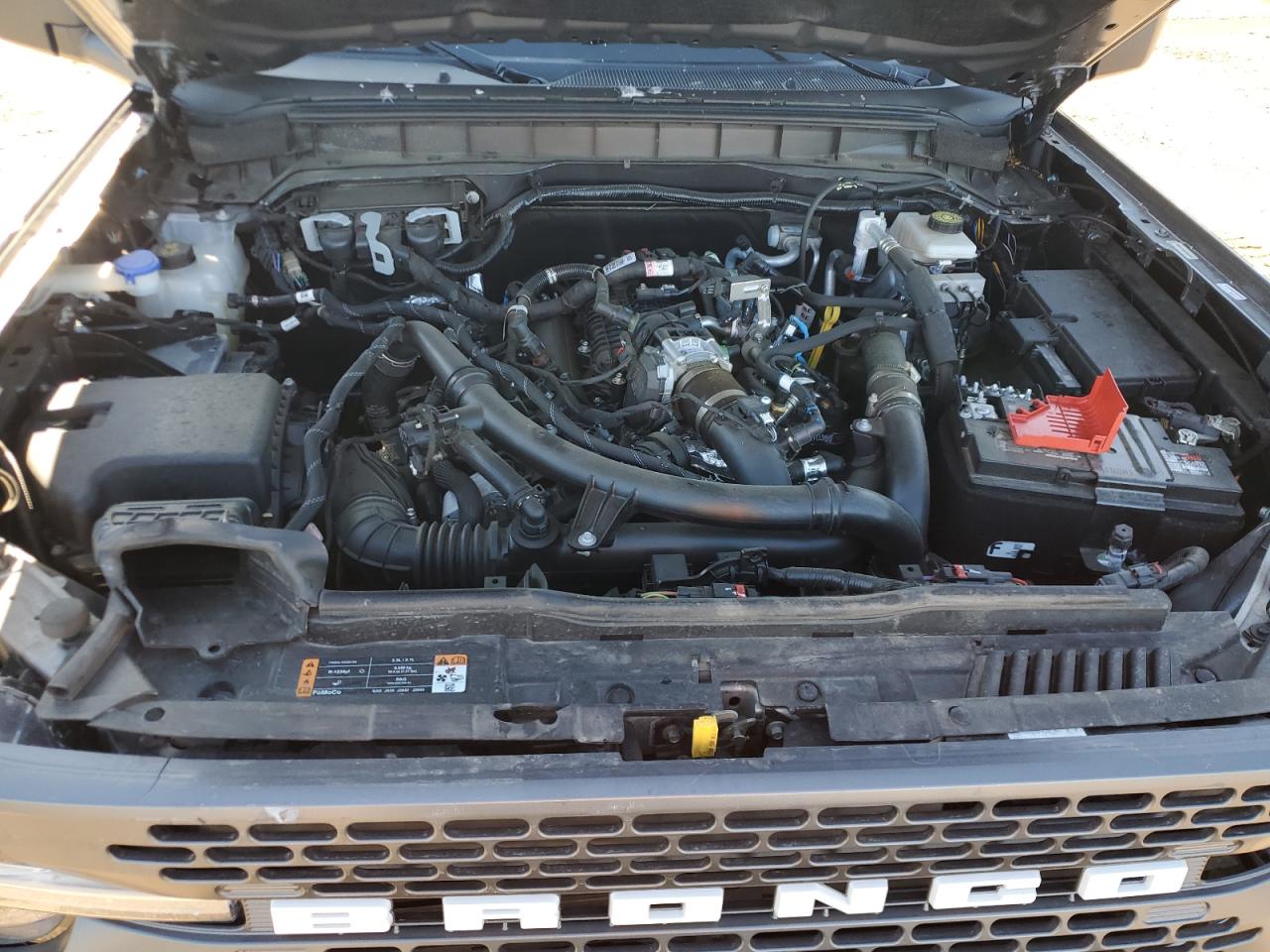 2023 Ford Bronco Base VIN: 1FMEE5DP0PLC10002 Lot: 57272555
