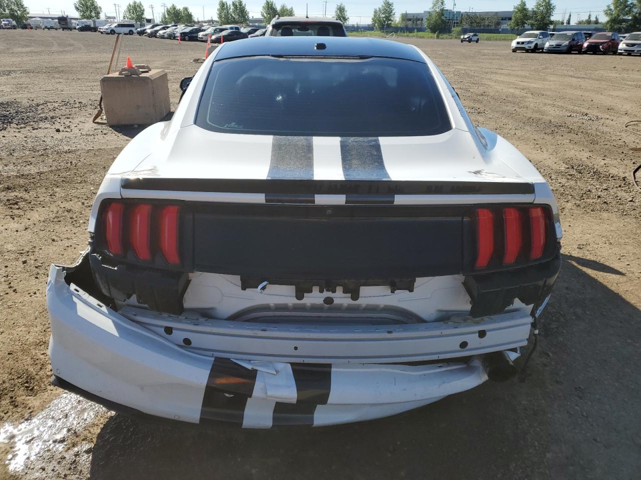 2020 Ford Mustang VIN: 1FA6P8THXL5121864 Lot: 58996325