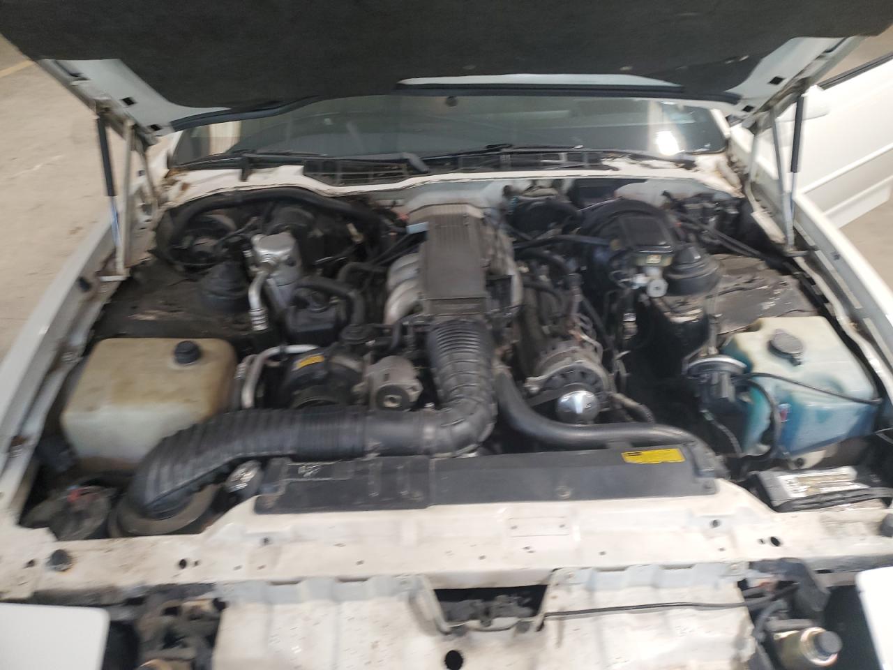 1989 Pontiac Firebird Trans Am VIN: 1G2FW2180KL256119 Lot: 56474875