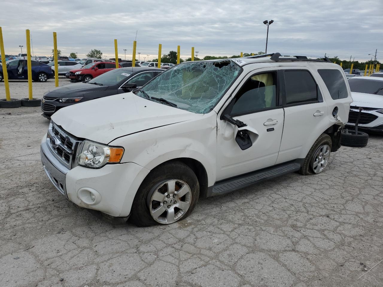 2009 Ford Escape Limited for Sale in Indianapolis, IN - All Over