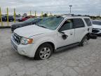 2009 Ford Escape Limited   for Sale in Indianapolis, IN - All Over