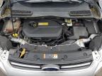 2013 Ford Escape Sel იყიდება Dyer-ში, IN - Minor Dent/Scratches