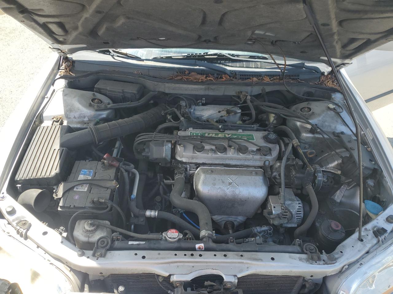 2000 Honda Accord Lx VIN: 3HGCG6653YG705219 Lot: 56623375